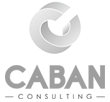 EMANUEL CABAN CONSULTING